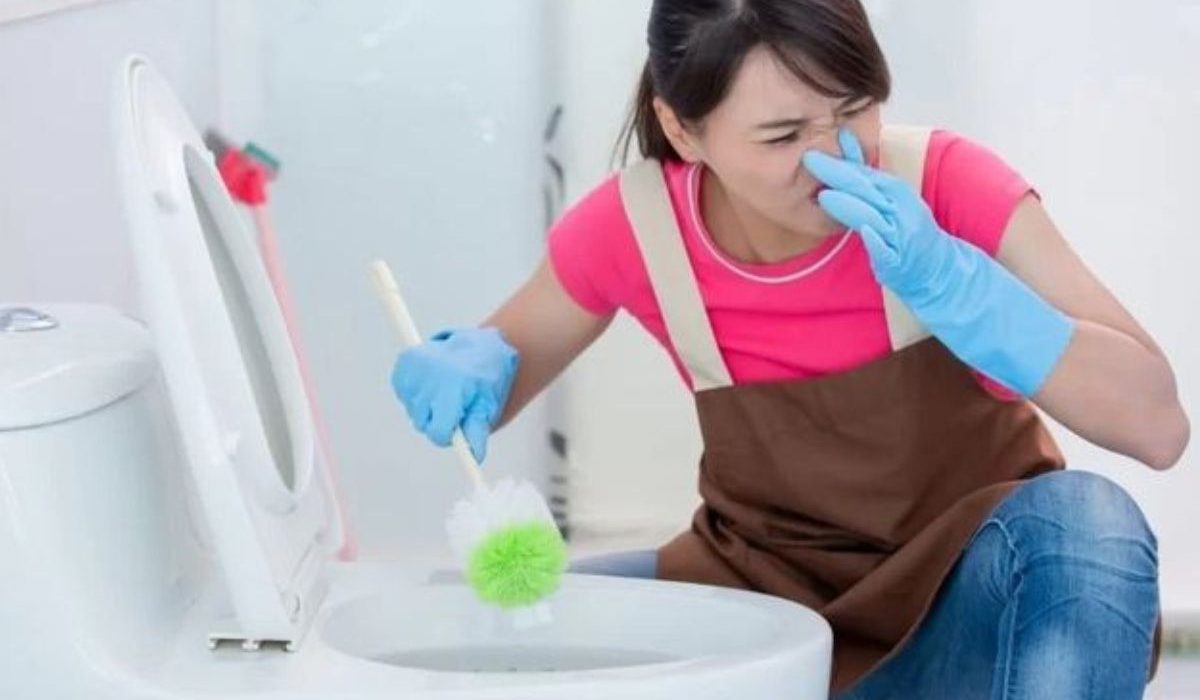 ciri septic tank penuh