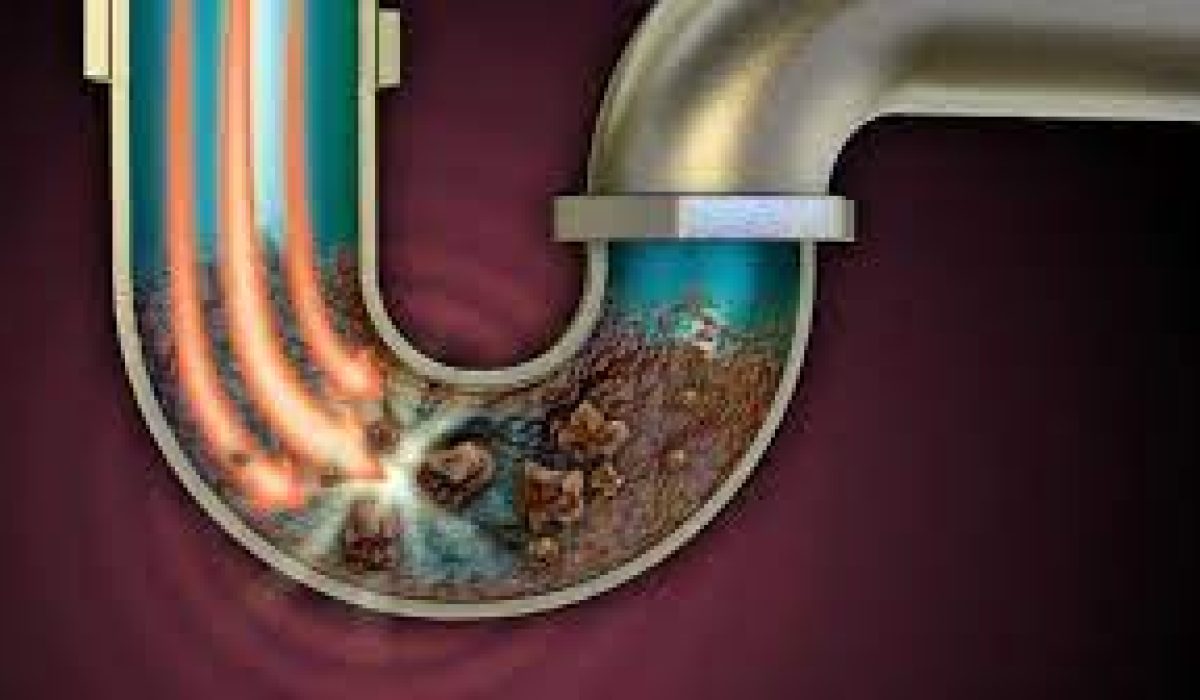 anti sumbat WC terbaik