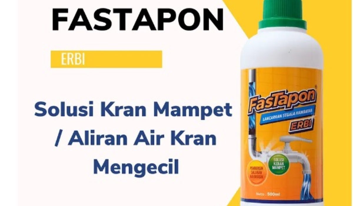 FasTapon ERBI pembersih pipa